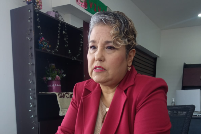 Cero tolerancia a la violencia contra la diputada federal Claudia Garfias: Morena exige investigación
