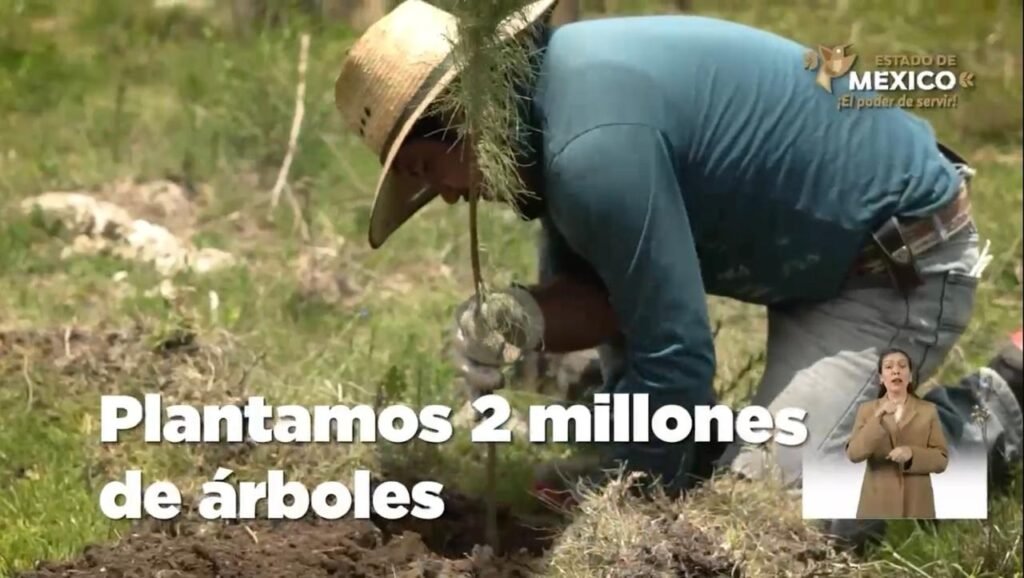 Con brigadas y el Atlas de Riesgo, el Gobierno de la Maestra Delfina Gómez reduce los incendios forestales