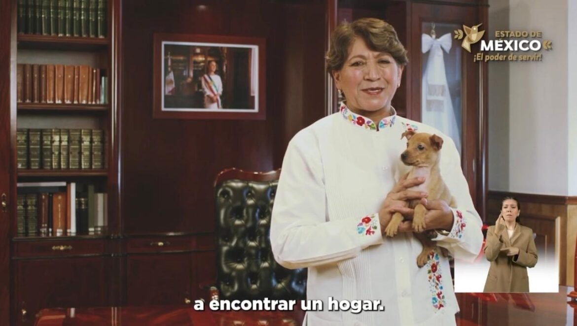 Con brigadas y el Atlas de Riesgo, el Gobierno de la Maestra Delfina Gómez reduce los incendios forestales