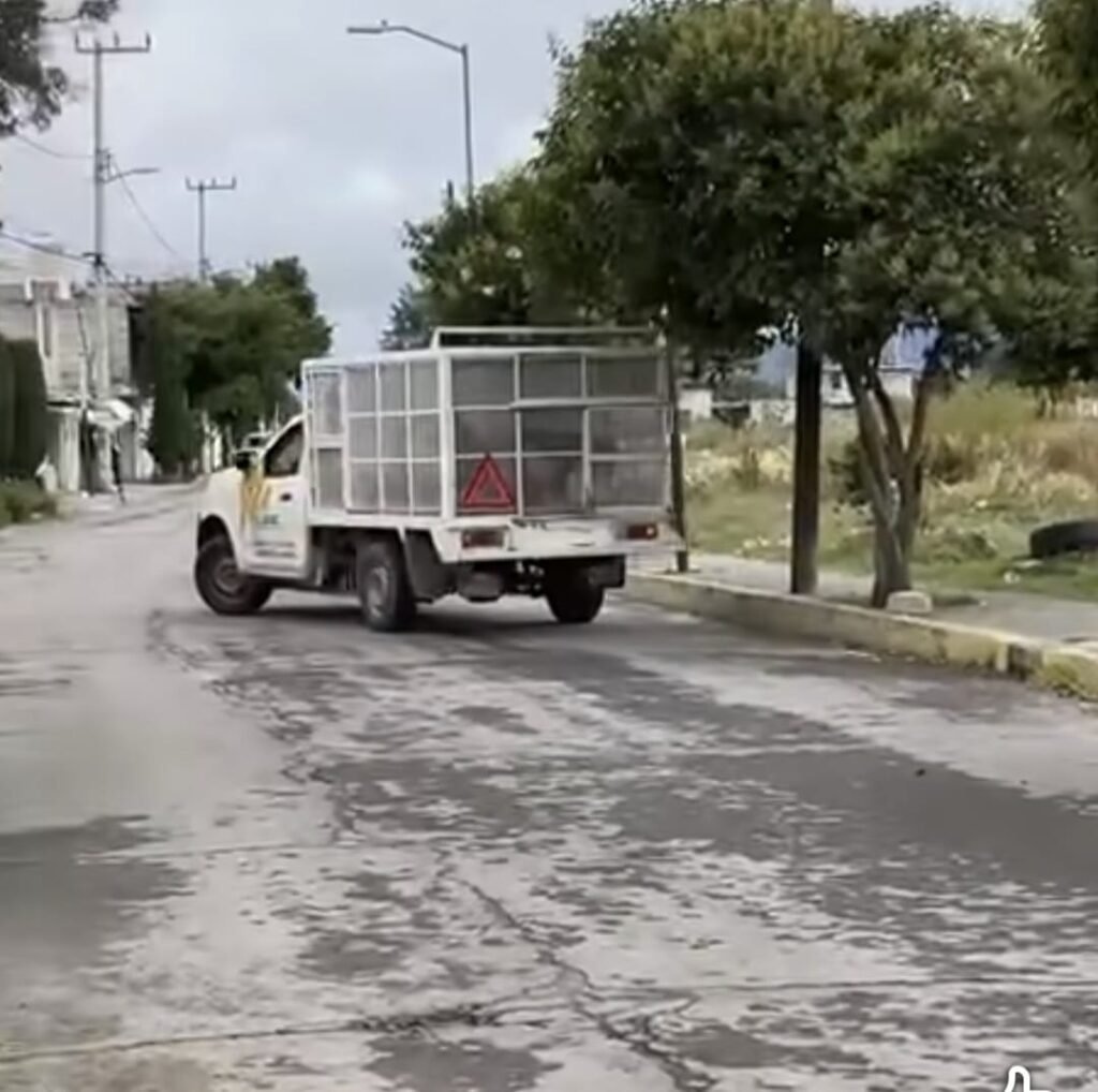 Polémica en Tecámac por operativo para retirar perros callejeros