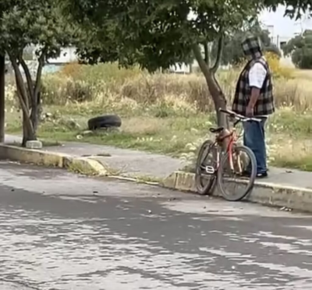 Polémica en Tecámac por operativo para retirar perros callejeros