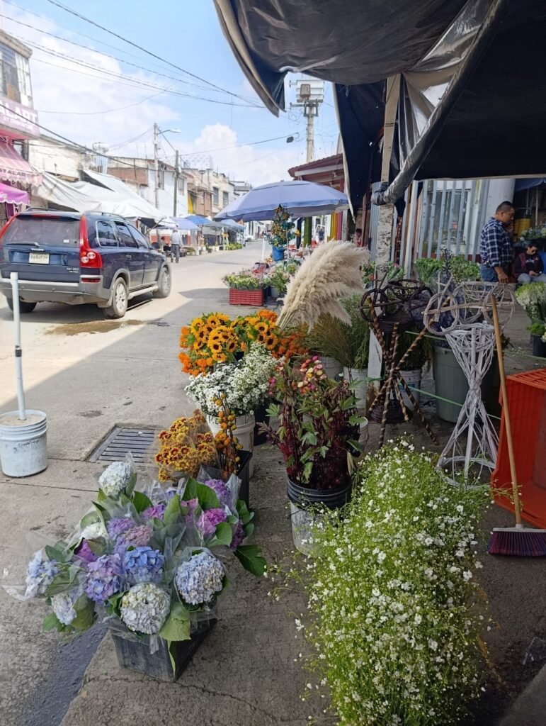 Productores de Tenancingo luchan por mantener viva la floricultura en el Día de Muertos