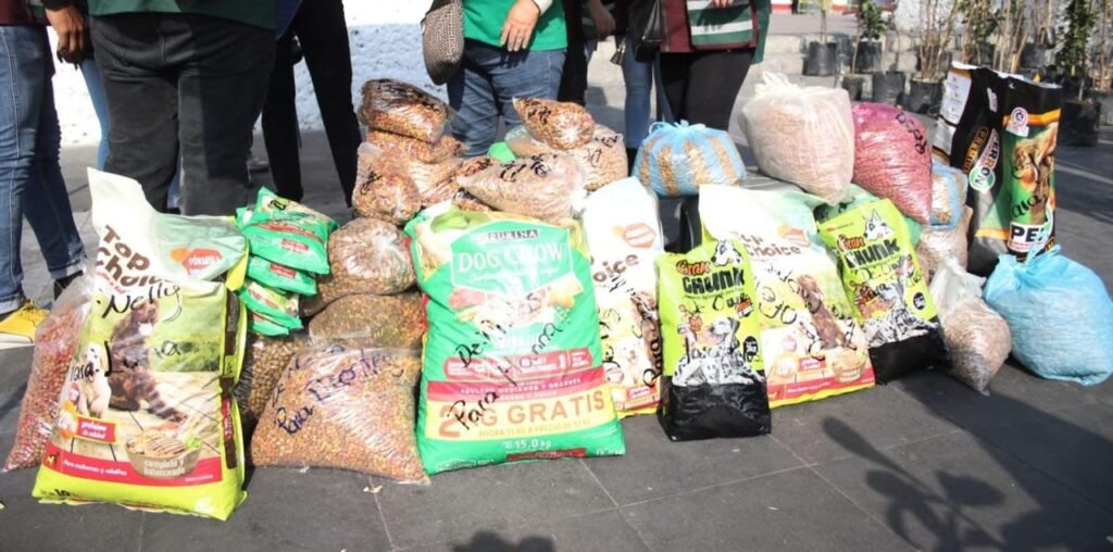 Organizan en Neza el Croquetón 2025 “Por Amor a Neza”, en apoyo a seres sintientes