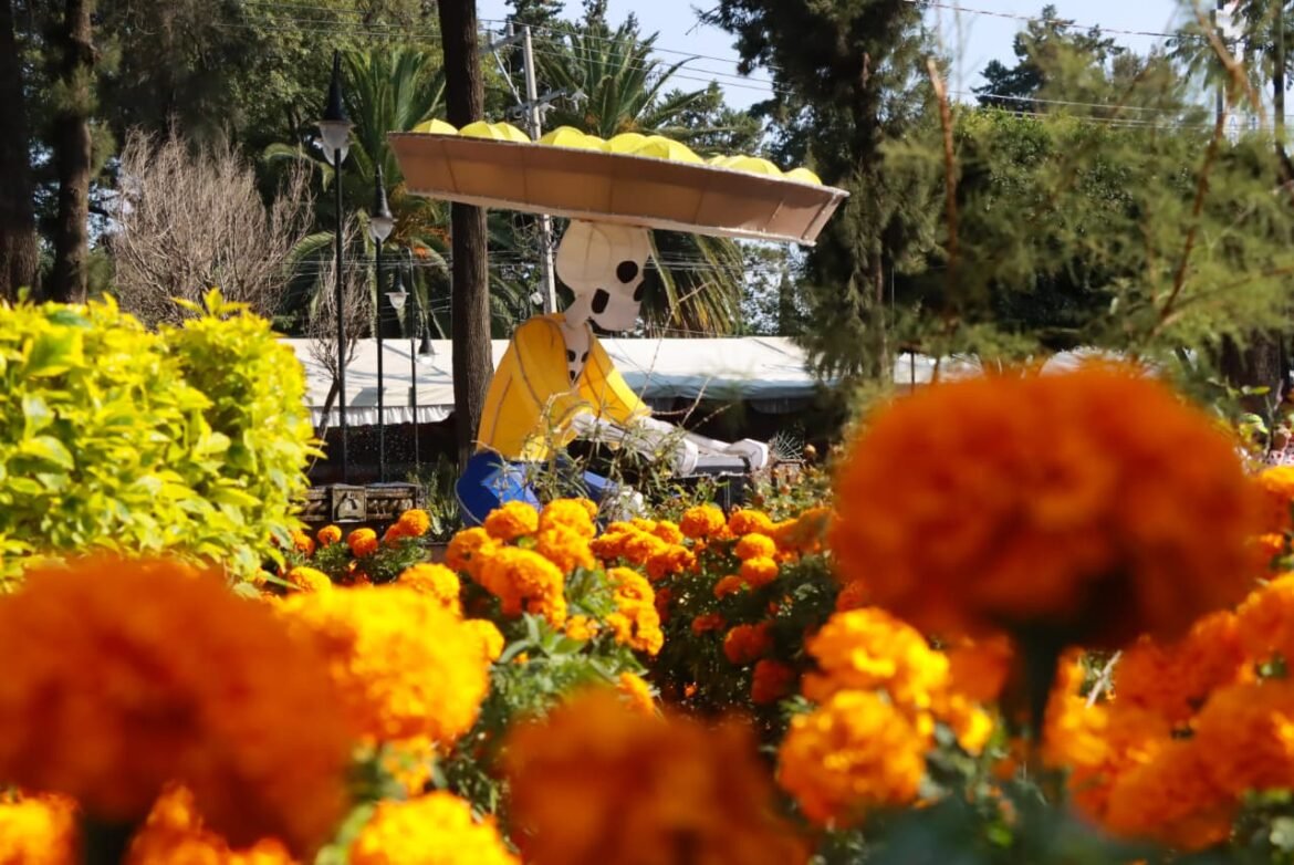 Chimalhuacán impulsa producción y venta directa de flor de cempasúchil con feria agropecuaria Chimalhuacán impulsa producción y venta directa de flor de cempasúchil con feria agropecuaria