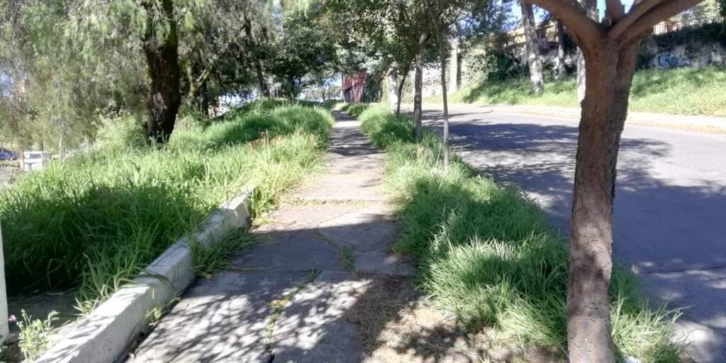 Vecinos denuncian abandono de parques y áreas peatonales en Toluca