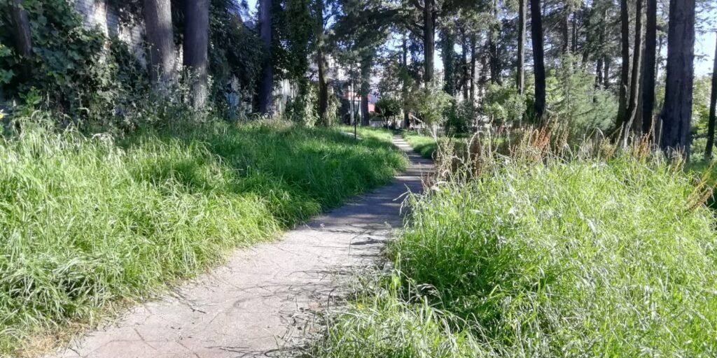 Vecinos denuncian abandono de parques y áreas peatonales en Toluca