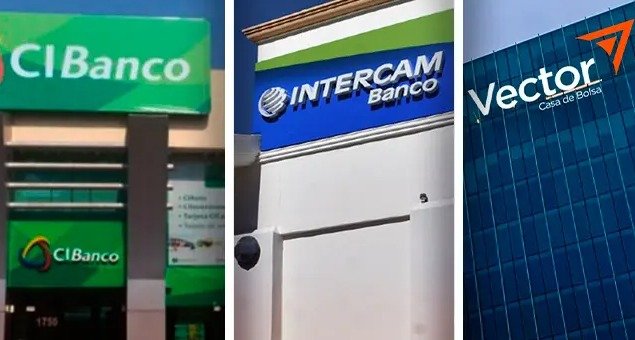 El arte de blanquear la impunidad