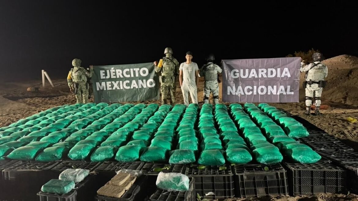 Aseguran más de una tonelada de droga oculta en cajas de chiles en Sonora