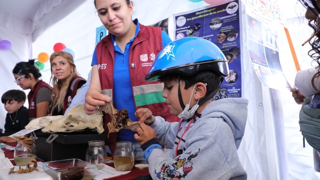 PILARES reconoce a más de 500 egresados en su primer cierre de actividades