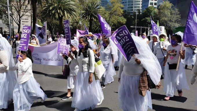 Magistrados electos definirán amparo clave por violencia familiar: el caso “992 Las Novias”