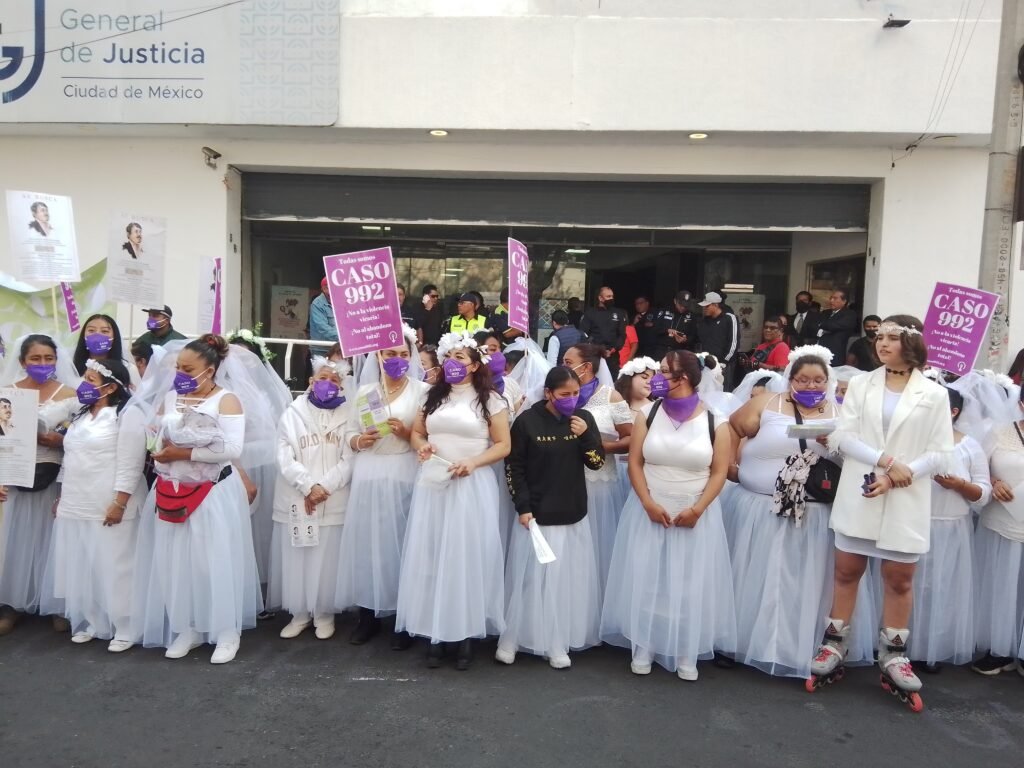 Magistrados electos definirán amparo clave por violencia familiar: el caso “992 Las Novias”