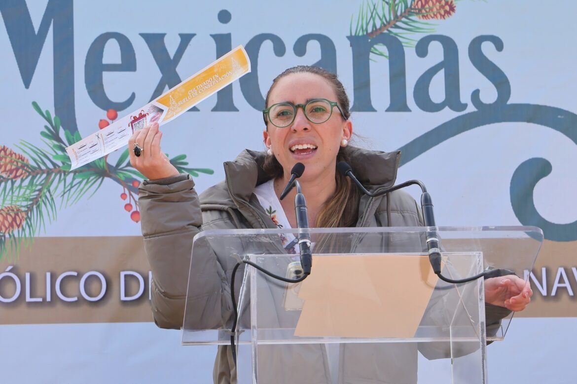 Arranca Temporada de venta de Árboles de Navidad producidos en el Suelo de Conservación