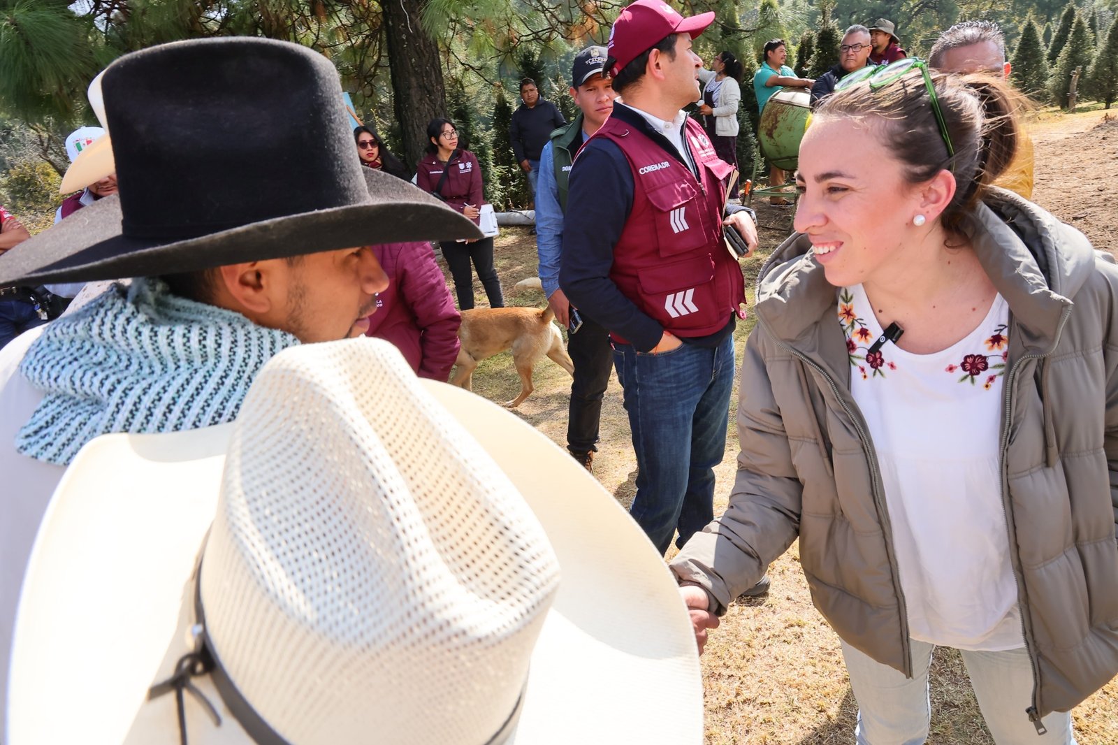 Arranca Temporada de venta de Árboles de Navidad producidos en el Suelo de Conservación