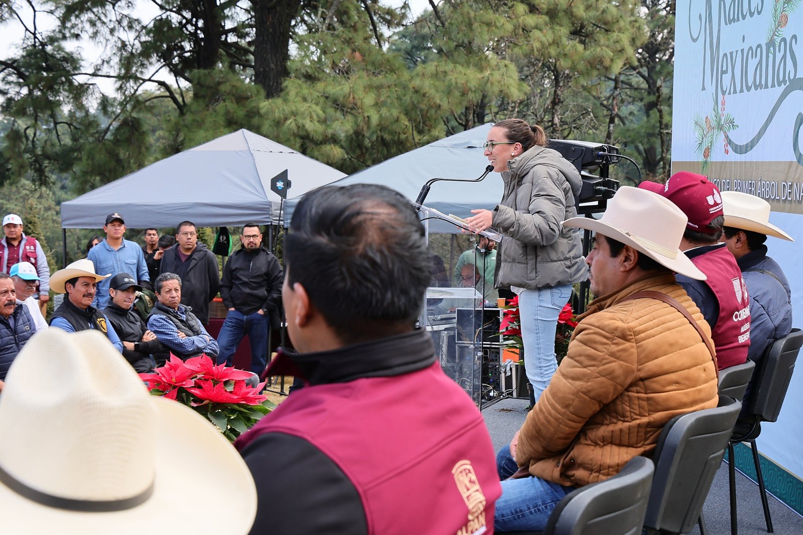Arranca Temporada de venta de Árboles de Navidad producidos en el Suelo de Conservación