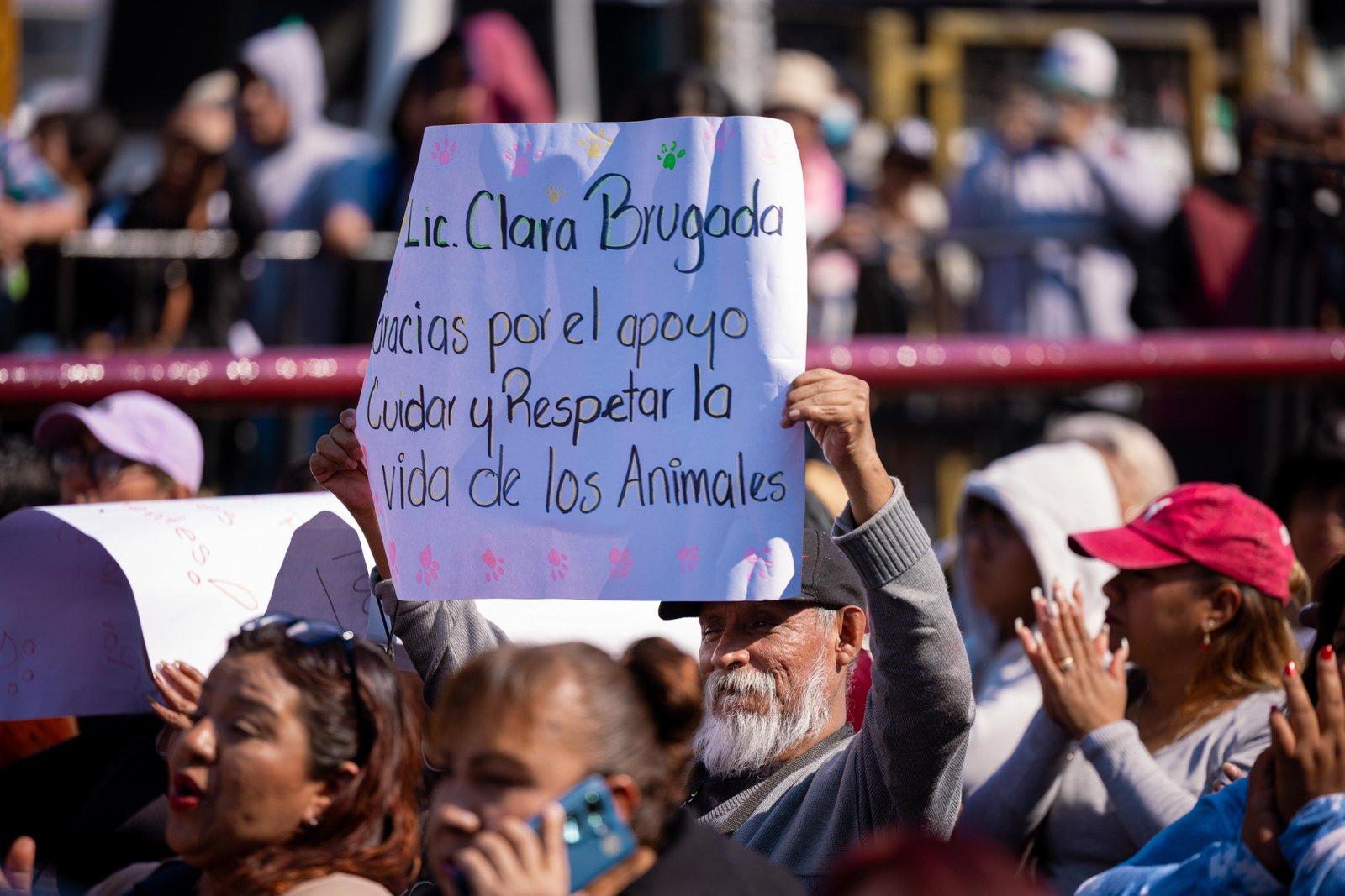 Brindarán apoyo a comerciantes del Mercado de Sonora por eliminar maltrato y venta de animales sintientes