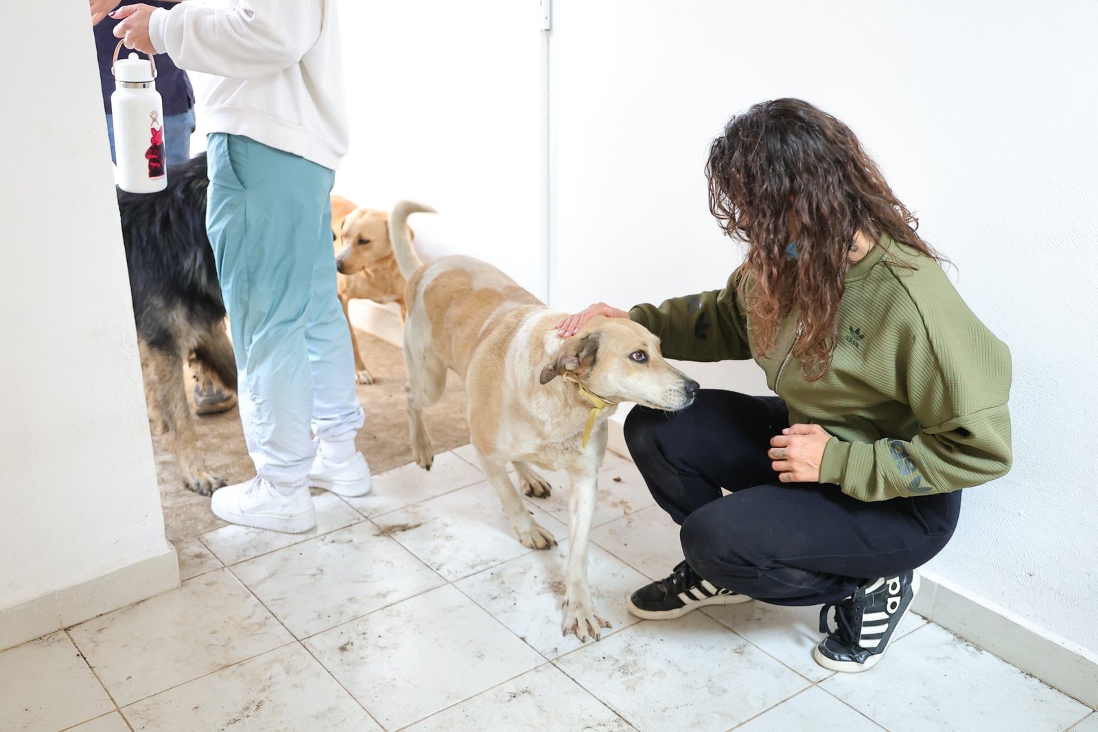 Gobierno capitalino asegura atención a 304 perros resguardados en el Ajusco