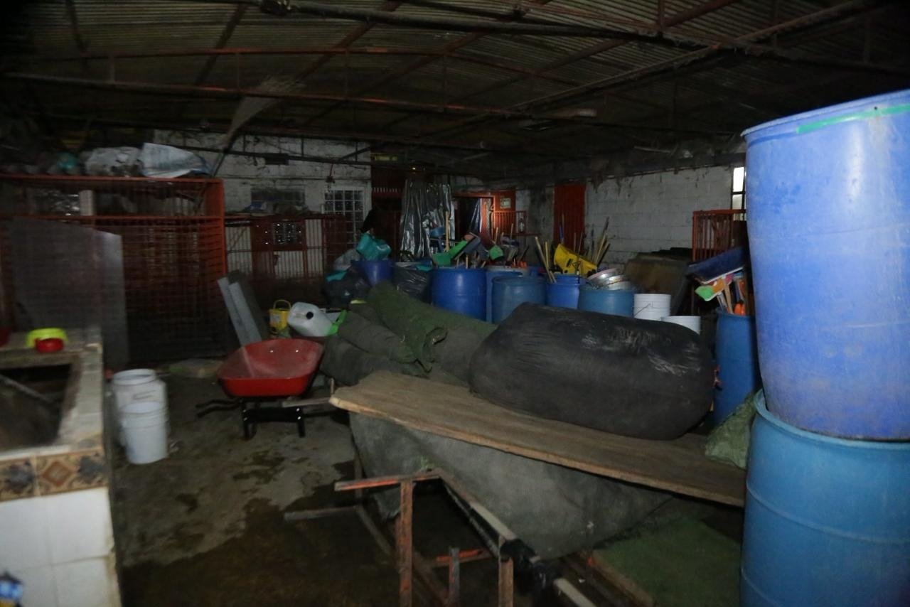 Clara Brugada expone las condiciones en que vivían los animales en el Refugio Franciscano