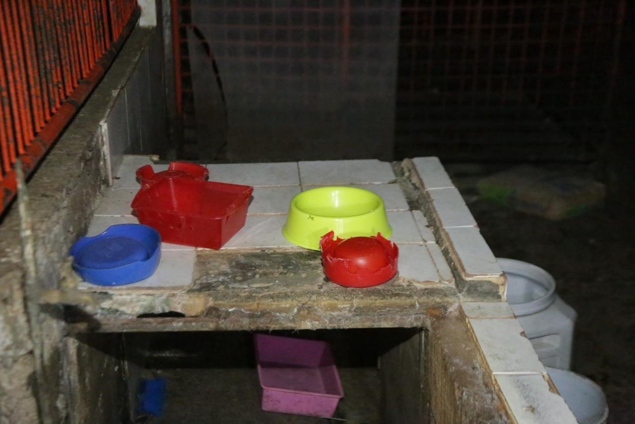 Clara Brugada expone las condiciones en que vivían los animales en el Refugio Franciscano