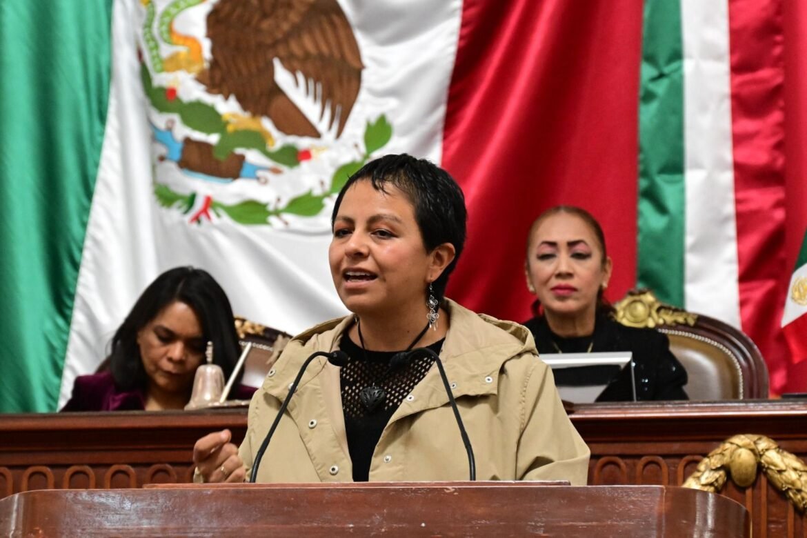 Liz Salgado exhibe a alcalde de Álvaro Obregón de violar el marco normativo al usar escoltas y vehículos con cargo al erario