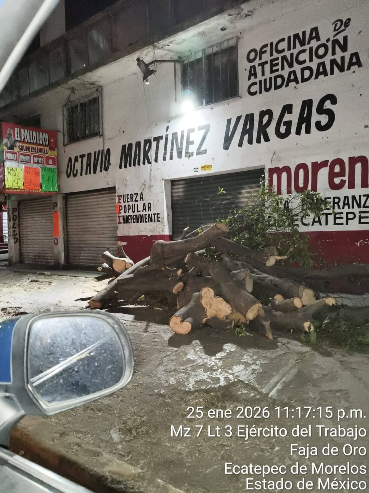 Acusan ecocidio en Ecatepec; diputado niega tala irregular