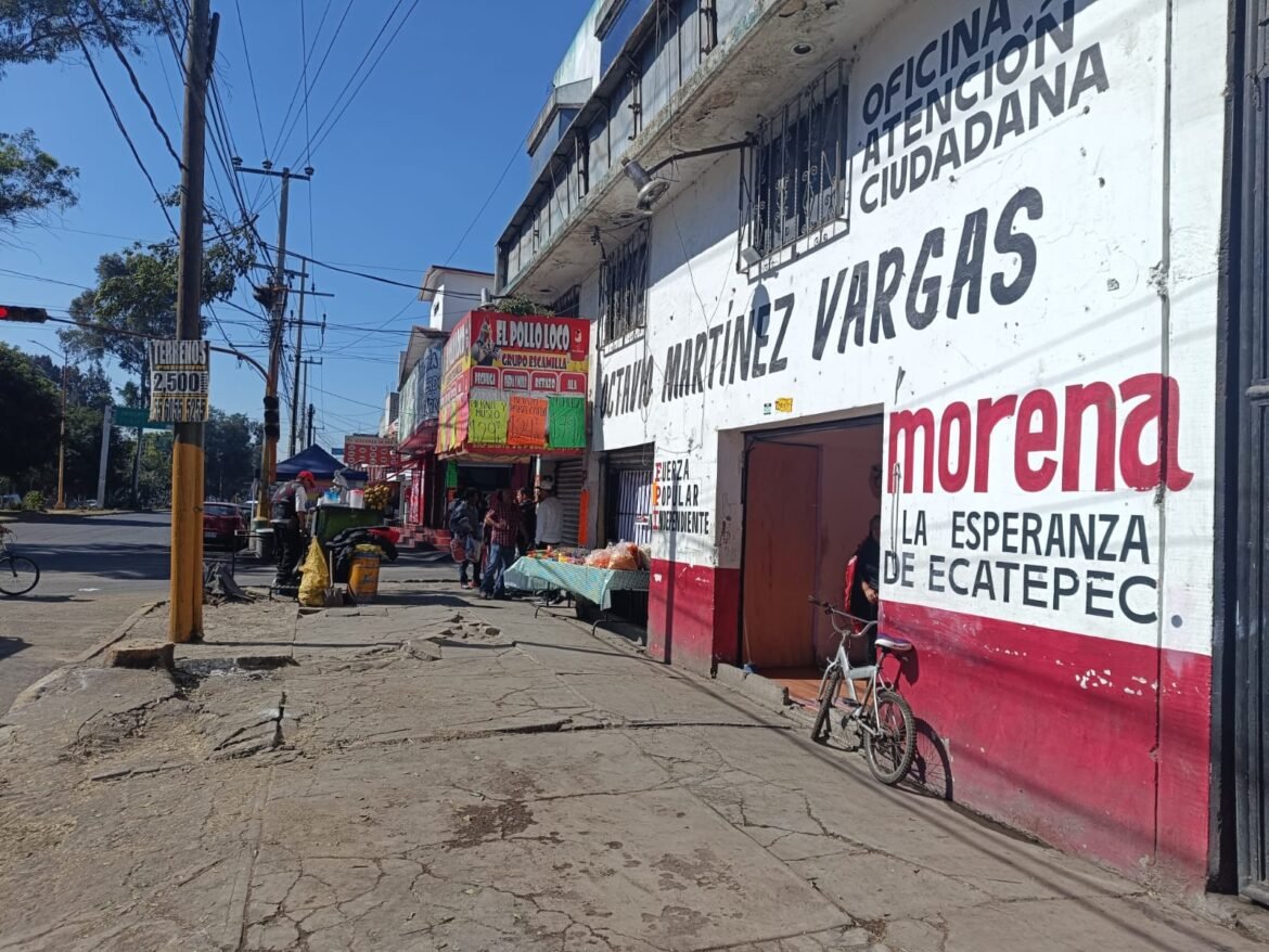 Acusan ecocidio en Ecatepec; diputado niega tala irregular