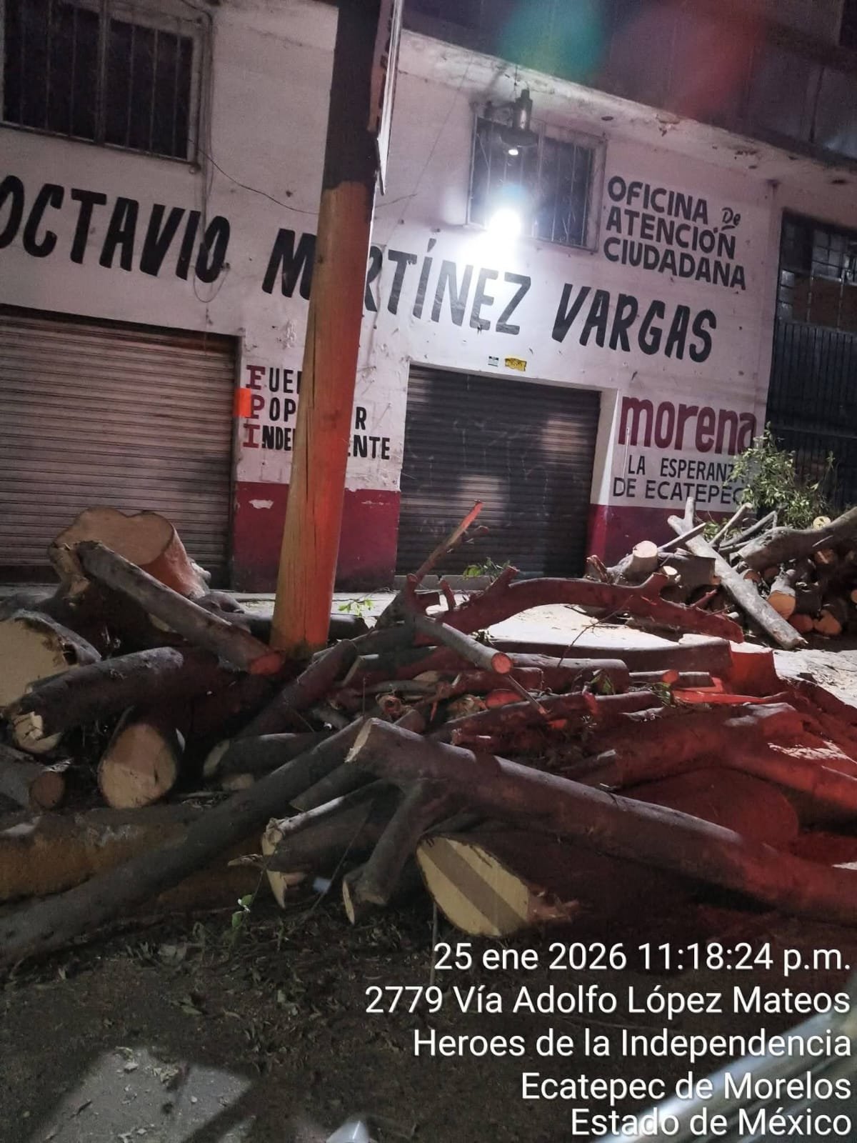 Acusan ecocidio en Ecatepec; diputado niega tala irregular