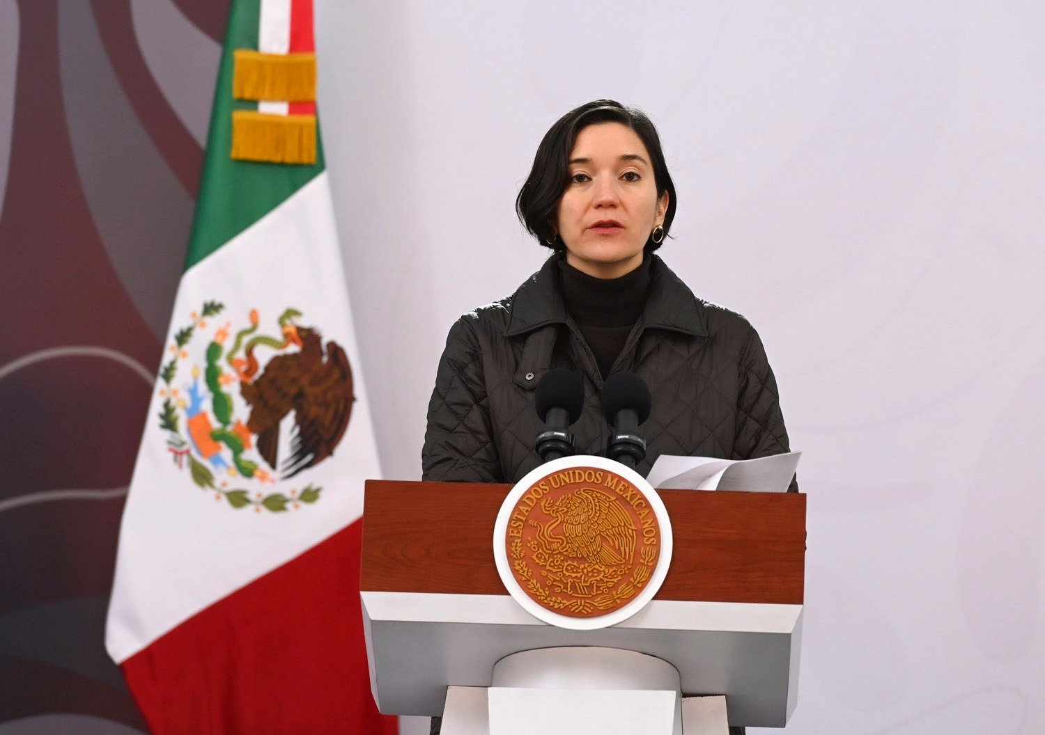 Presentan avances del Plan Michoacán por la Paz y la Justicia