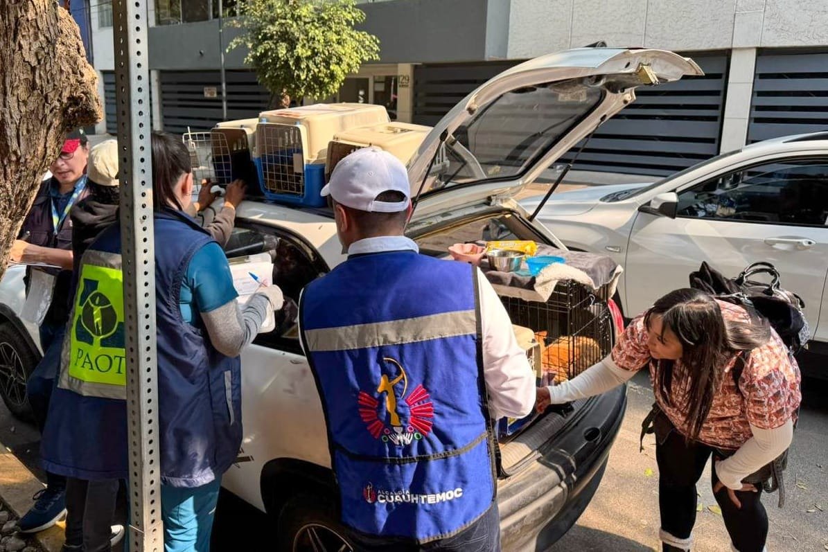 Operativo de la alcaldía Cuauhtémoc en Parque México confirma condiciones adecuadas de animales en adopción y no deriva en retiros