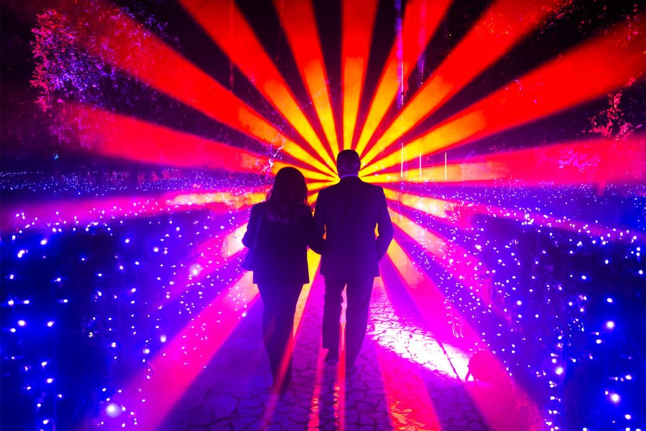 Se van a invertir 4.1 mdp en la rehabilitación del Parque Lira