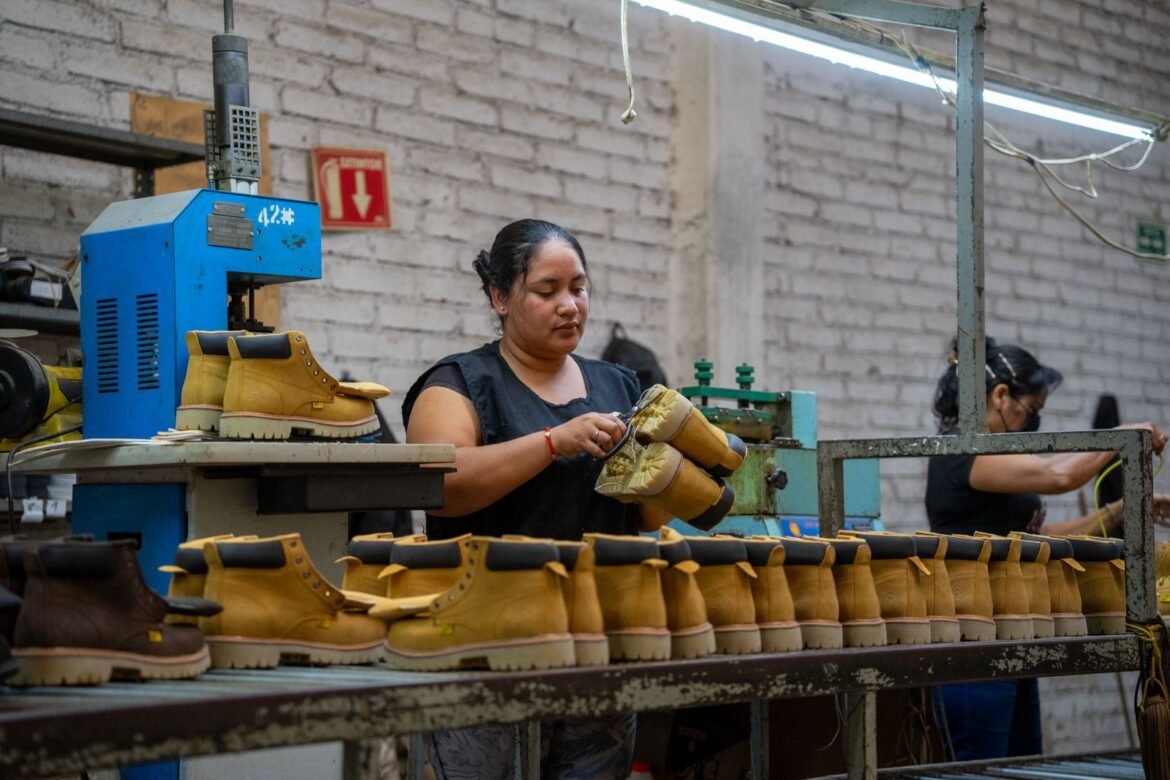 De taller familiar a empresa de tres plantas y 180 empleos: La historia de PMA