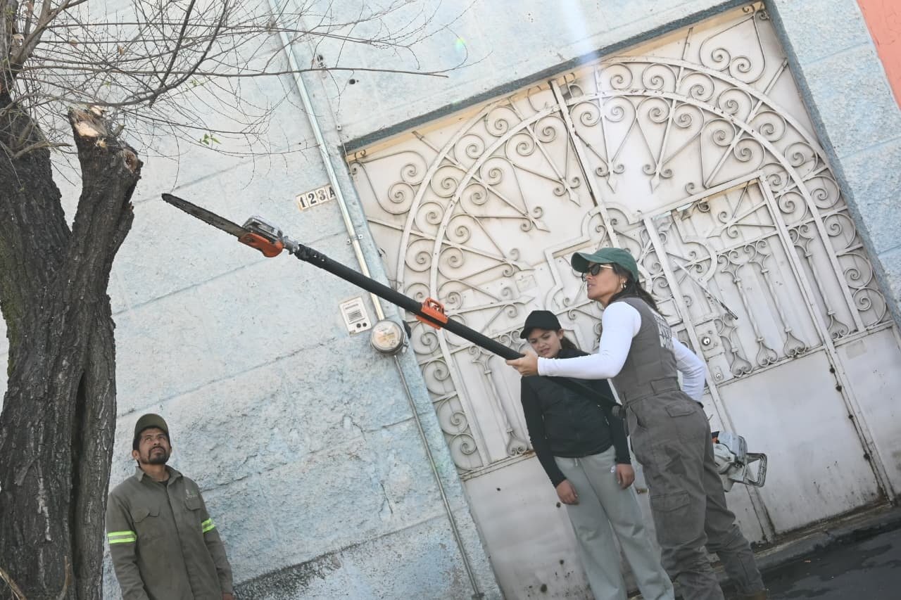 Ale Rojo de la Vega encabeza limpia Cuauhtémoc en Peralvillo: 83 luminarias reparadas, poda, bacheo y desazolve en un sólo día