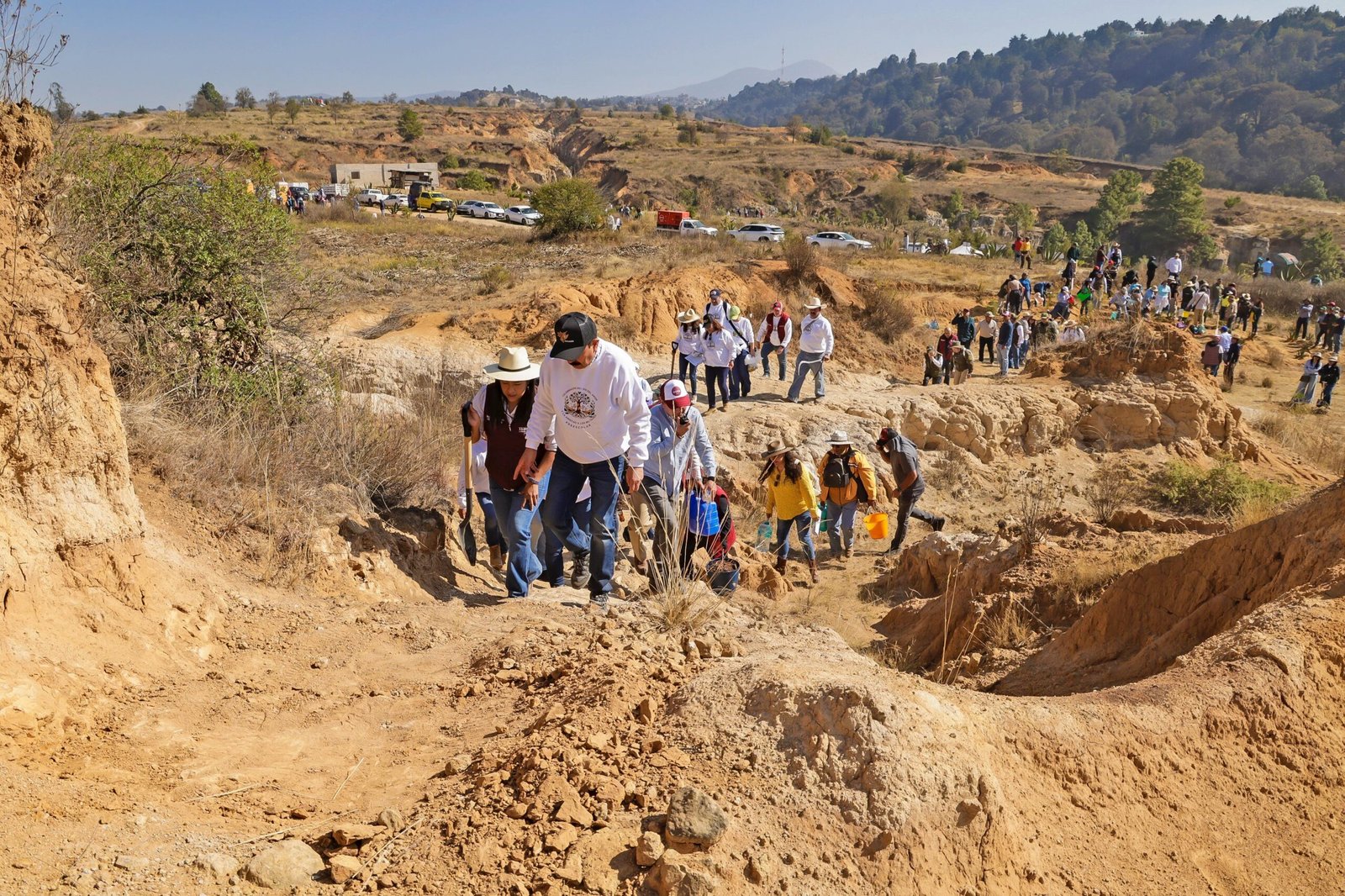 Gobierno del Estado de México celebra el “Día del Amor y la Amistad por el Bosque”