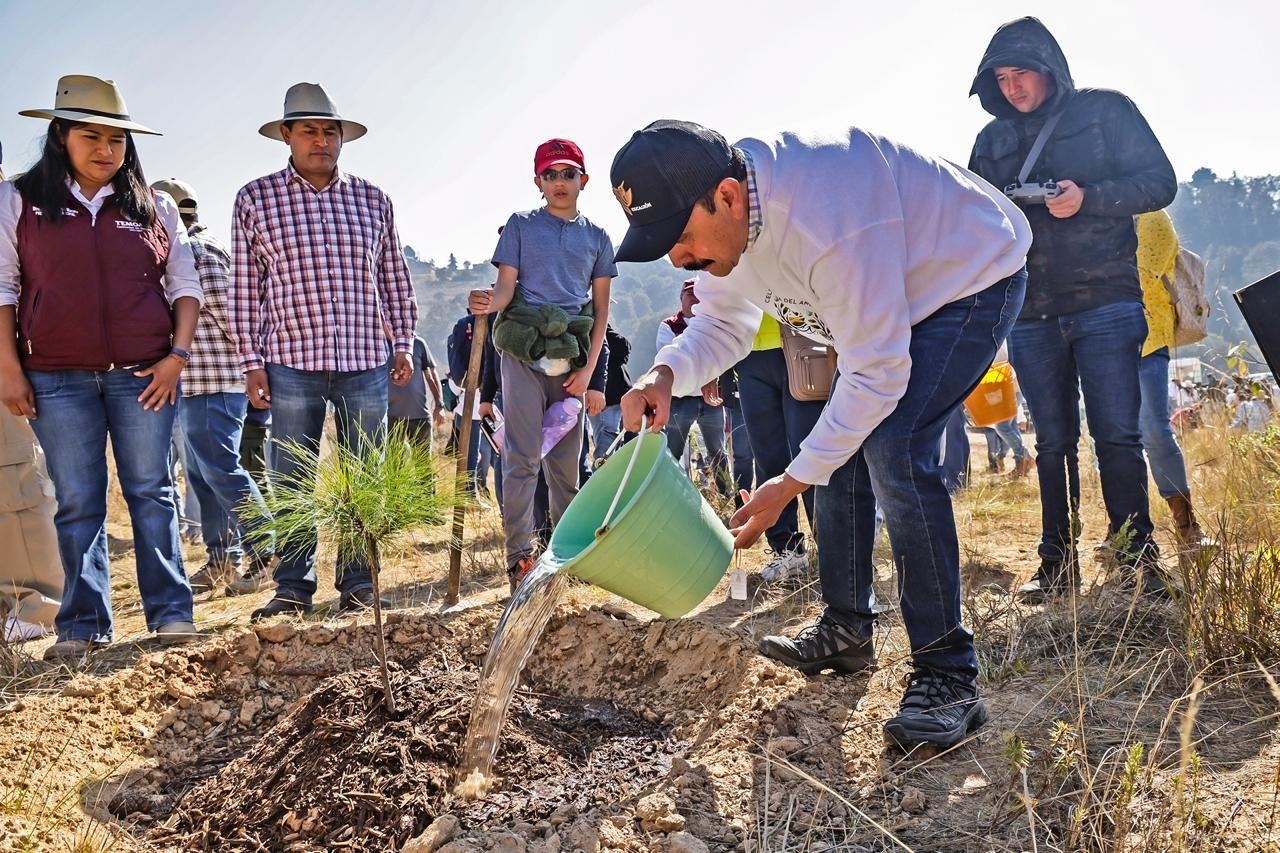 Gobierno del Estado de México celebra el “Día del Amor y la Amistad por el Bosque”