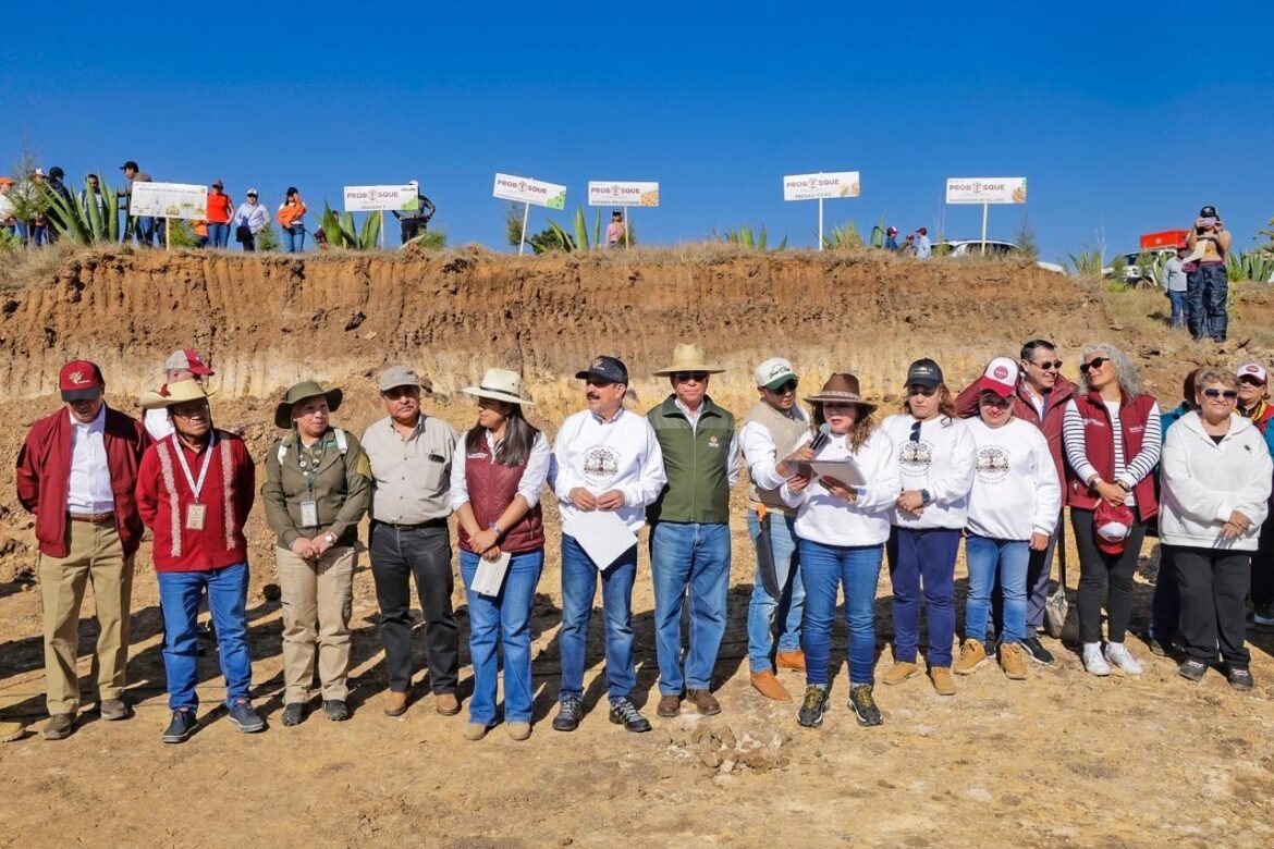 Gobierno del Estado de México celebra el “Día del Amor y la Amistad por el Bosque”