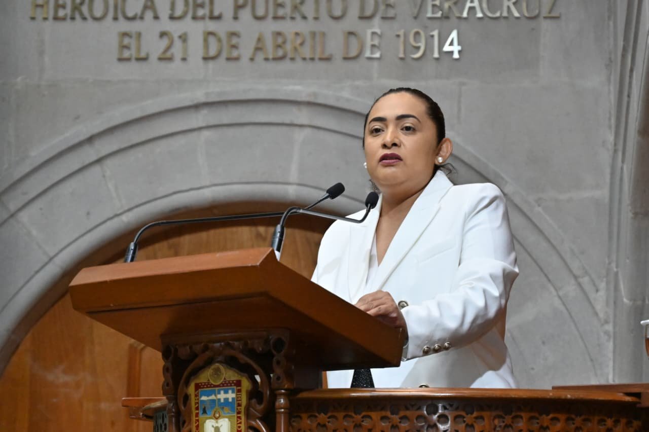 Propone Carmen de la Rosa agravar delitos con uso de drones