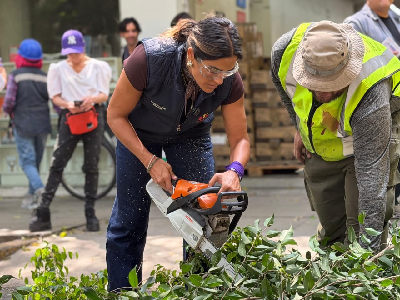 Ale Rojo de la Vega encabeza megajornada de poda en Roma, Condesa e Hipódromo
