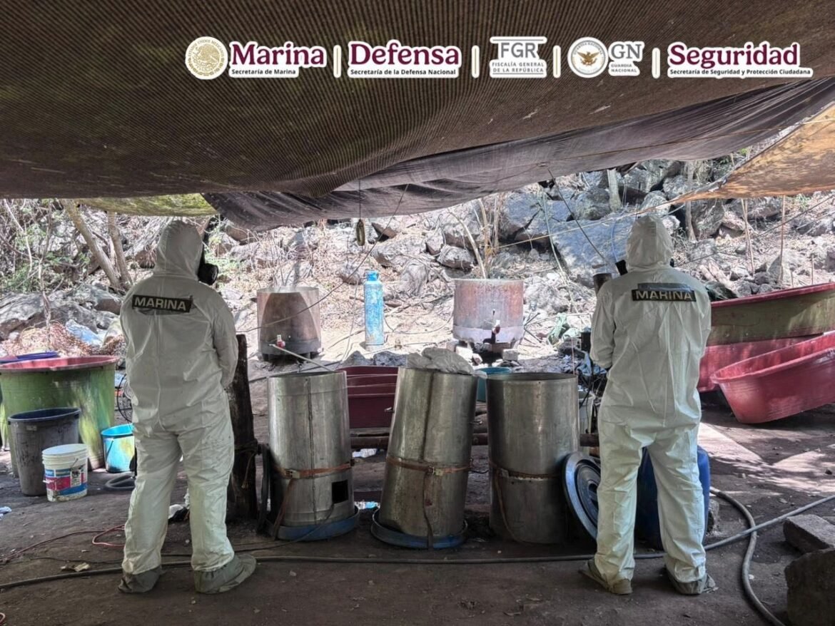 Desmantelan cinco laboratorios clandestinos en Jalisco, Nayarit y Sinaloa