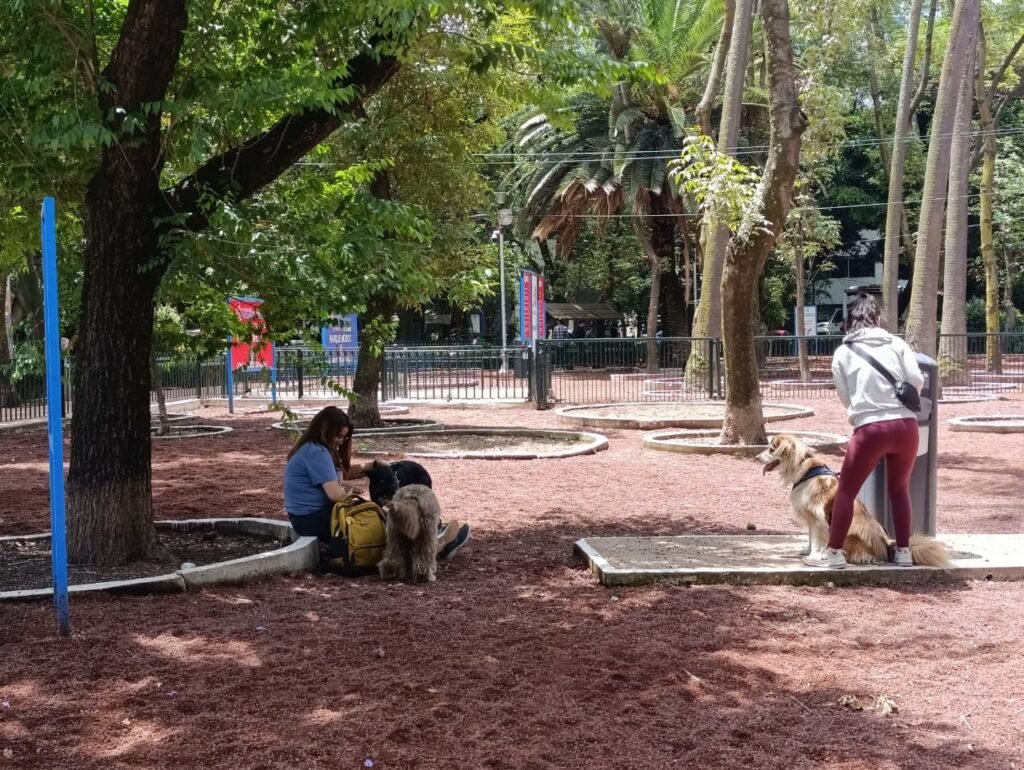 Ale Rojo de la Vega informa reapertura de área para perros en Parque México tras rehabilitación