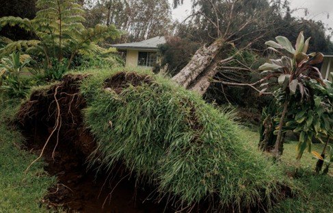 Efectos de la tormenta tropical en Hawái