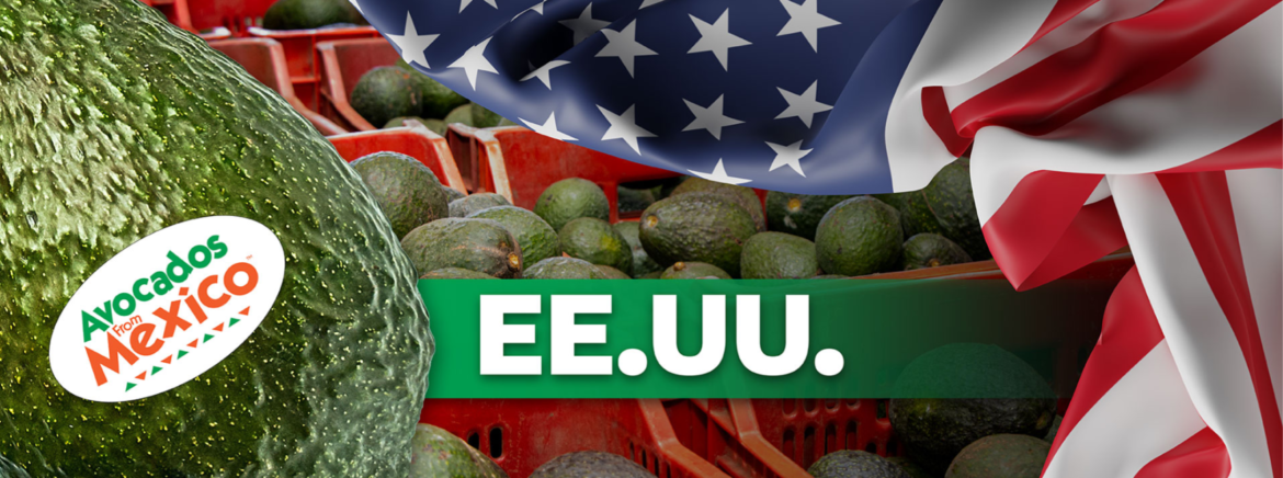 Aguacate mexicano